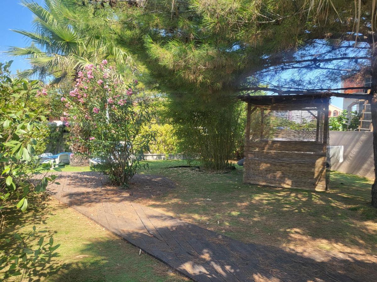 Villa Garden Vir Εξωτερικό φωτογραφία